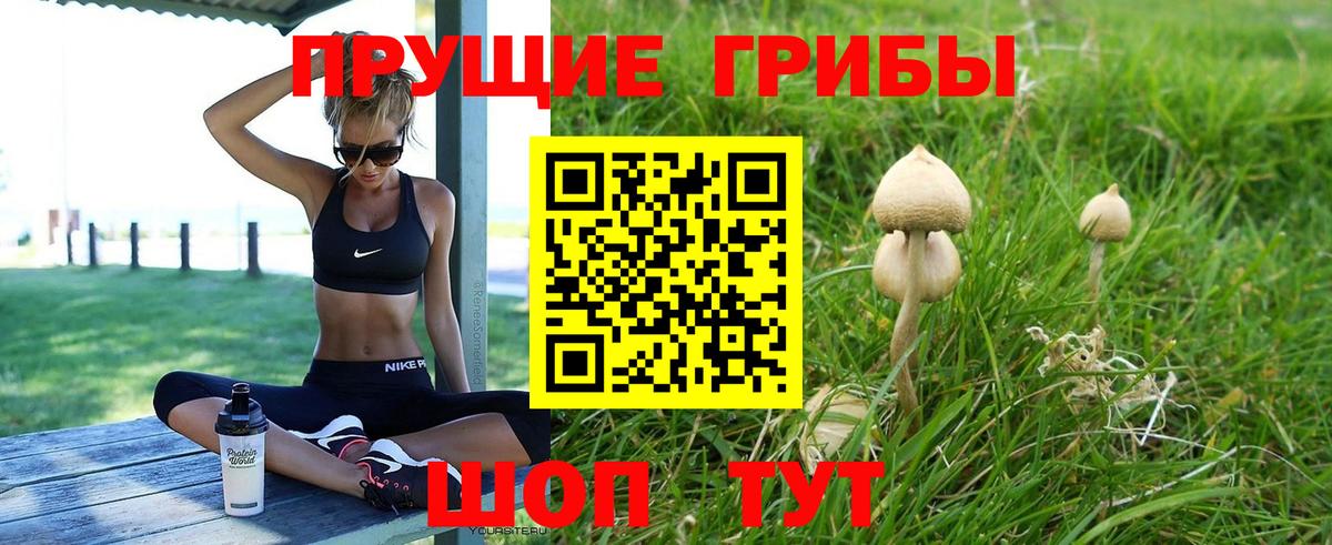 Миллерово  хочу наркоту  Вход с VPN  Псилоцибиновые грибы GOLDEN TEACHER 